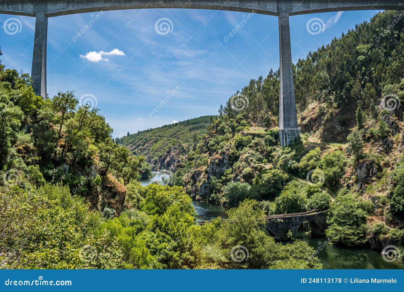 highway bridge framing wild nature with various types of trees on the banks and philippine bridge over the zÃÂªzere river, portugal