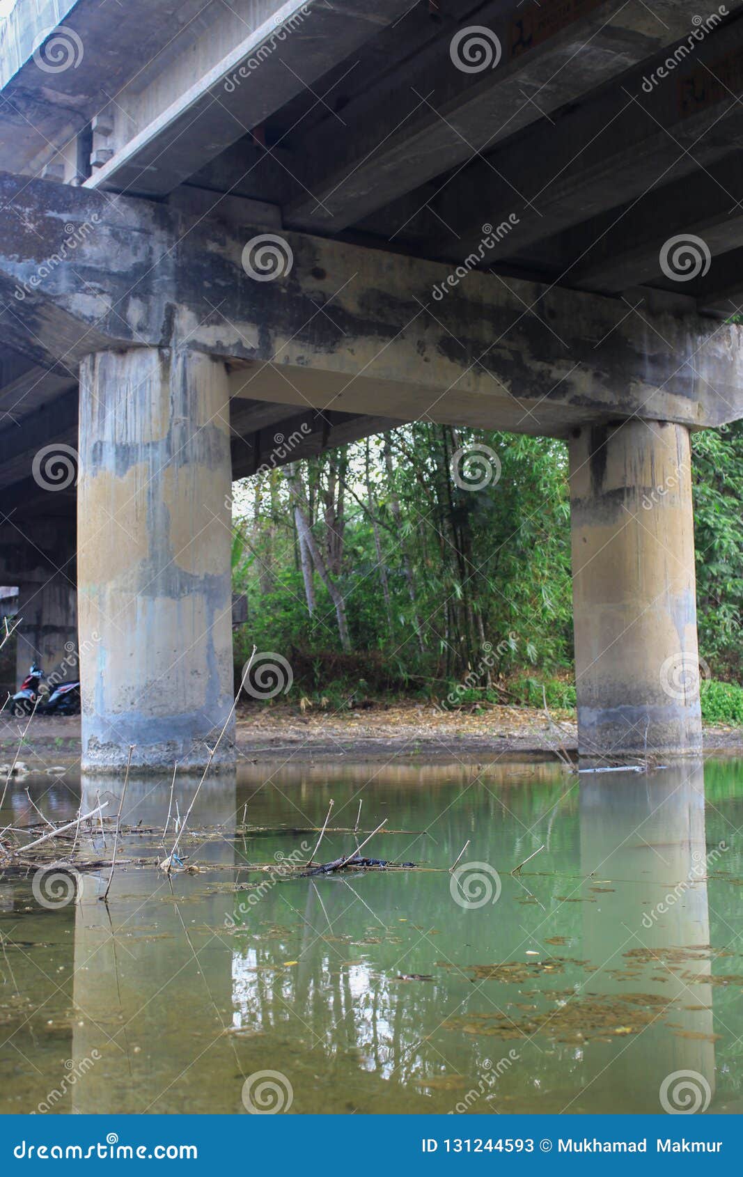 highway bridge over the river calm as a mirror