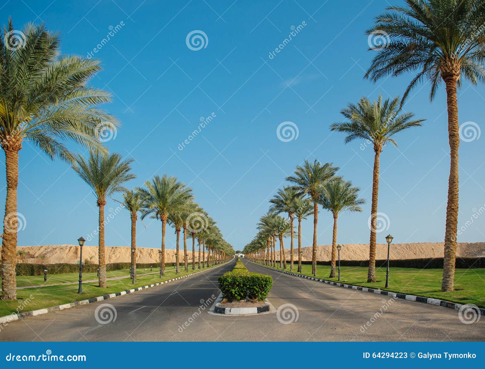 Highway with Palm Trees in Egypt Stock Image Image of street, blue