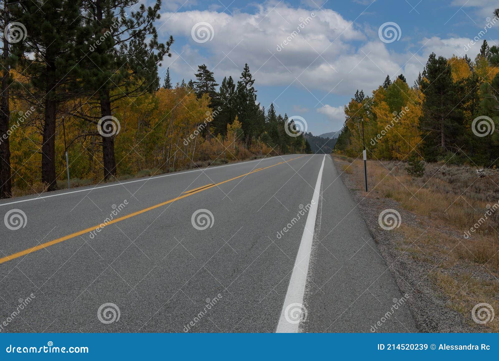highway 88 towards carson pass in the fall