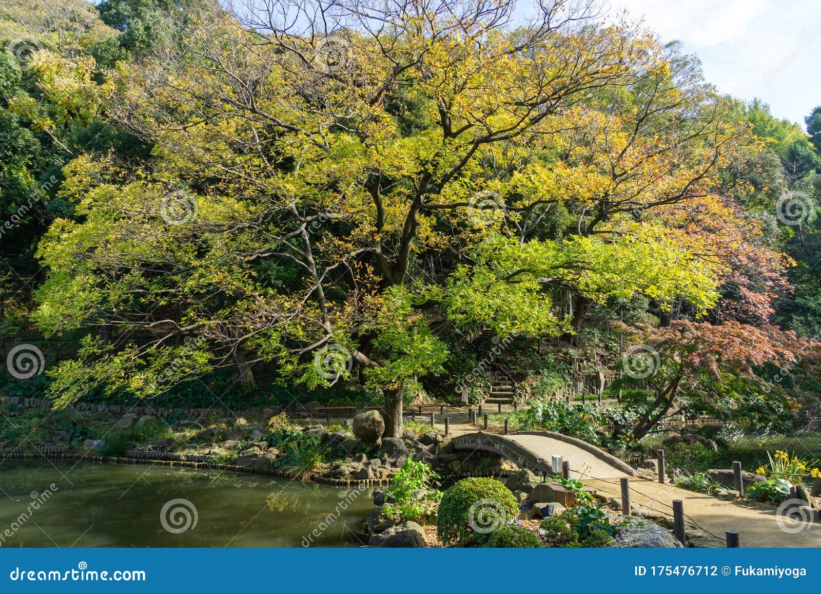 higo hosokawa garden in japan, tokyo landscape