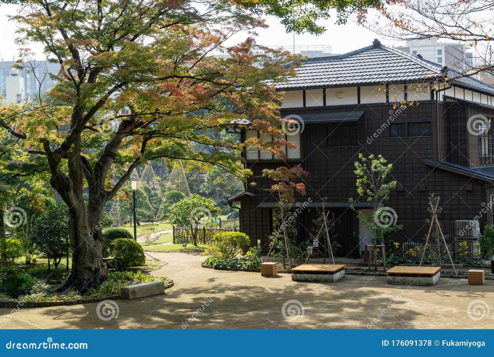 higo-hosokawa garden in japan, tokyo landscape