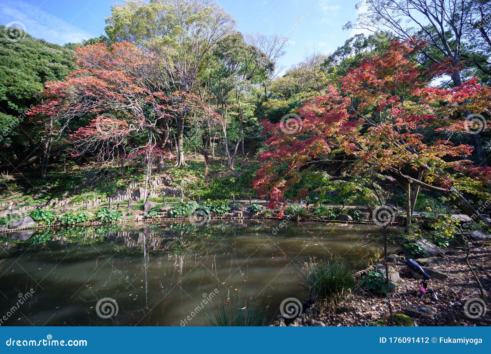 higo-hosokawa garden in japan, tokyo landscape