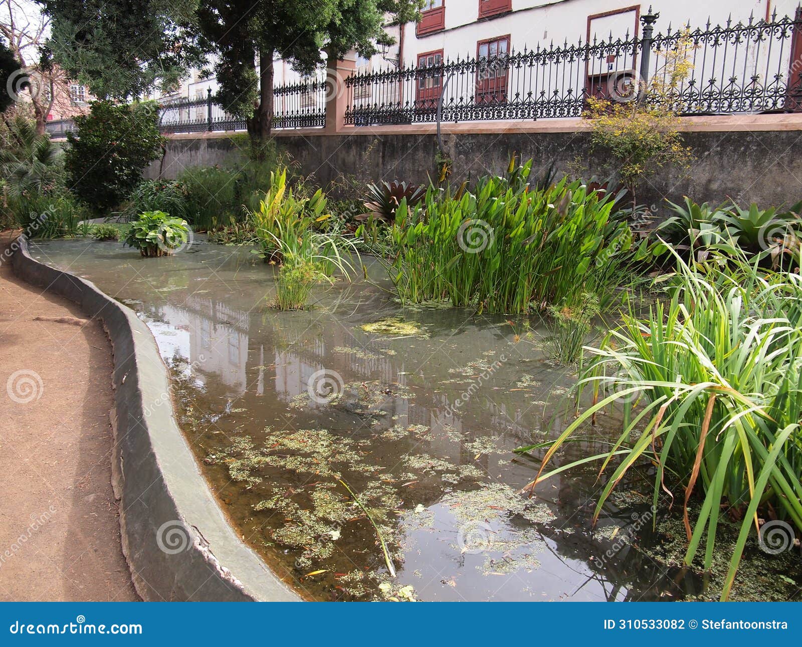 hijuela del botÃ¡nico (la orotava, tenerife, canary islands, spain)