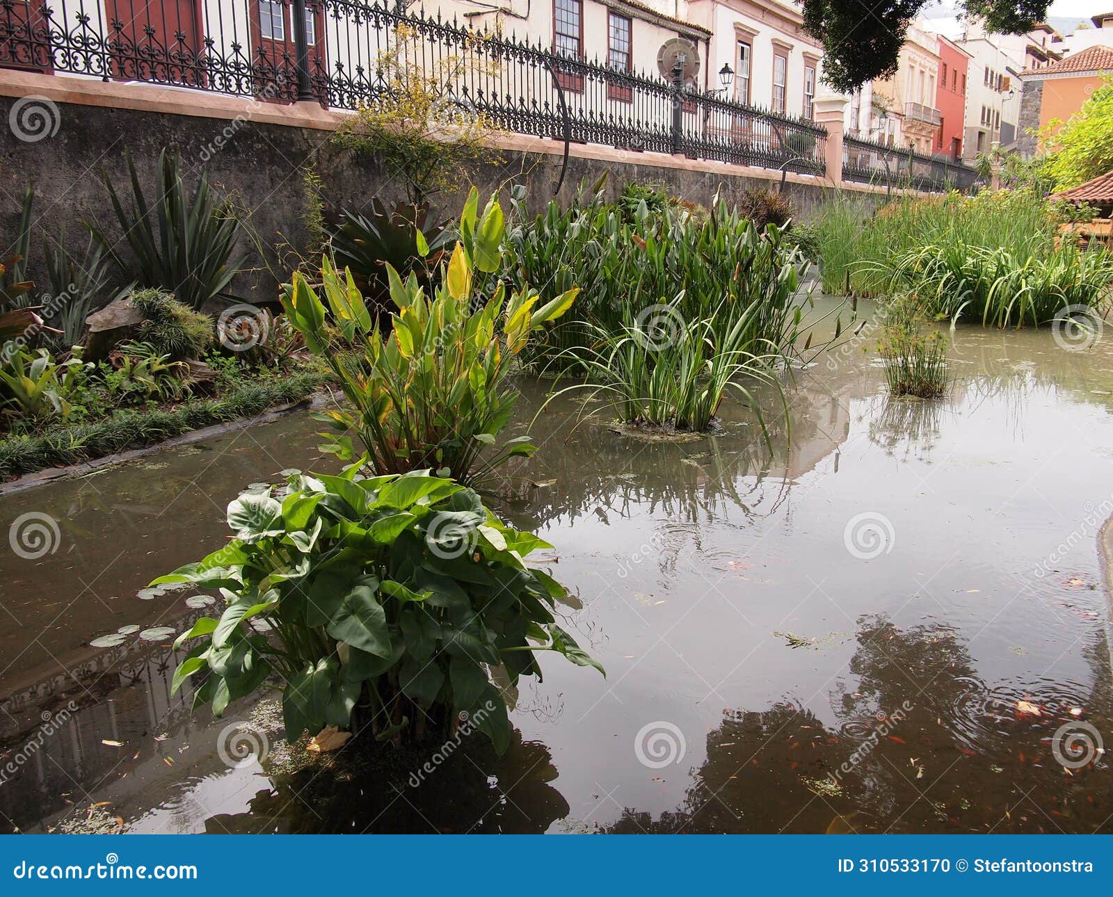 hijuela del botÃ¡nico (la orotava, tenerife, canary islands, spain)