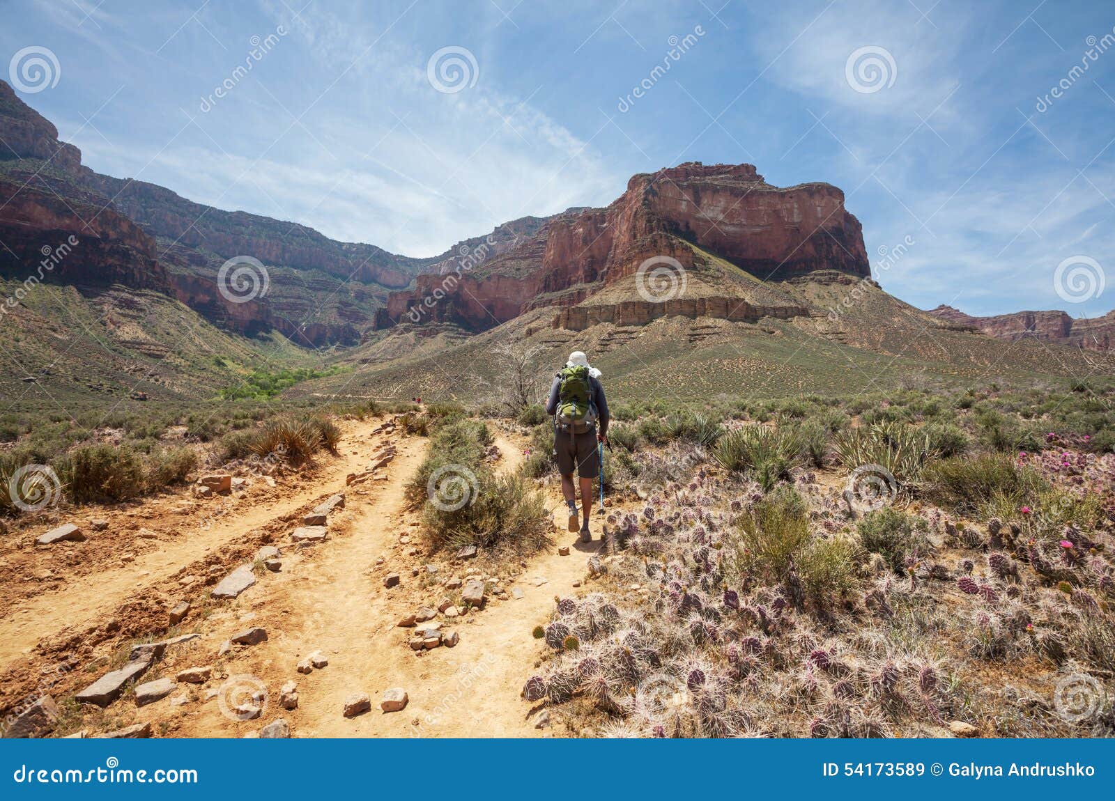 Hike in Grand Canyon