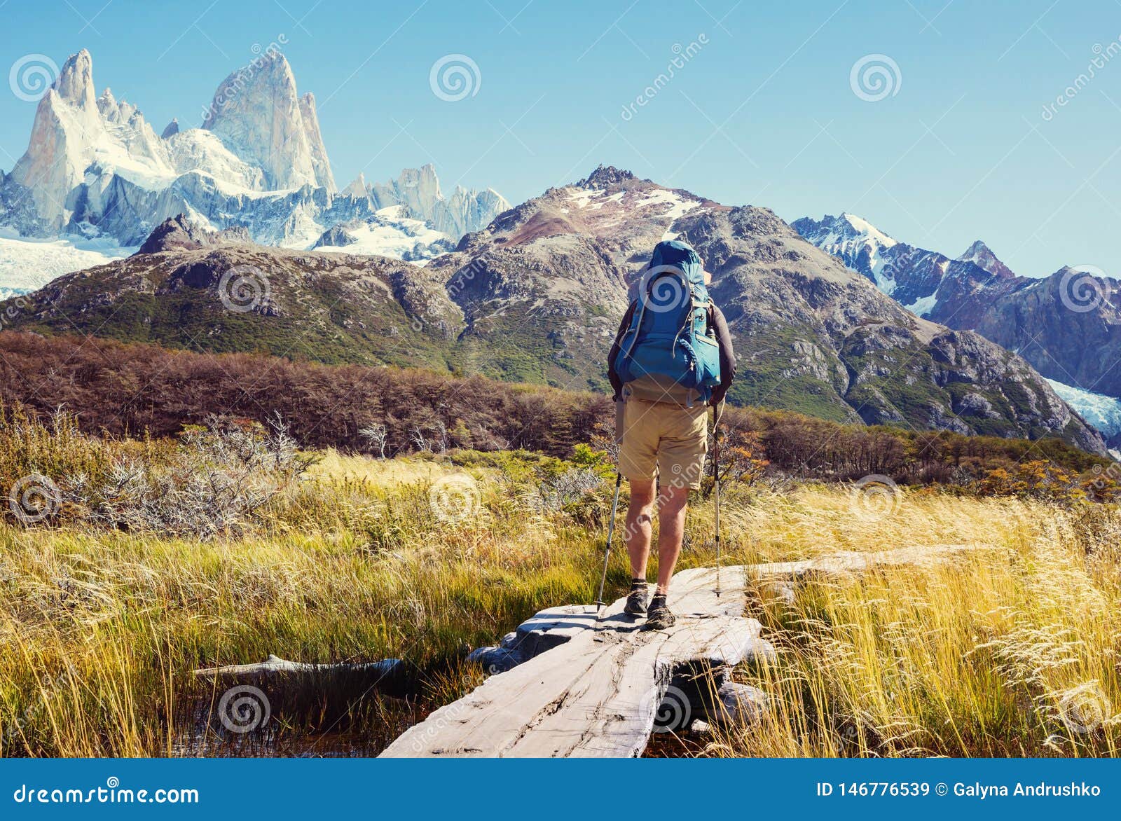 Hike in Patagonia stock image. Image of chalten, parque - 146776539