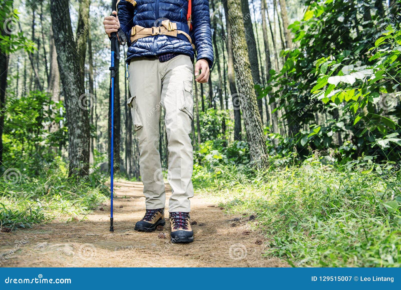 Hiker Man with Backpack and Trekking Pole Walking Stock Image Image