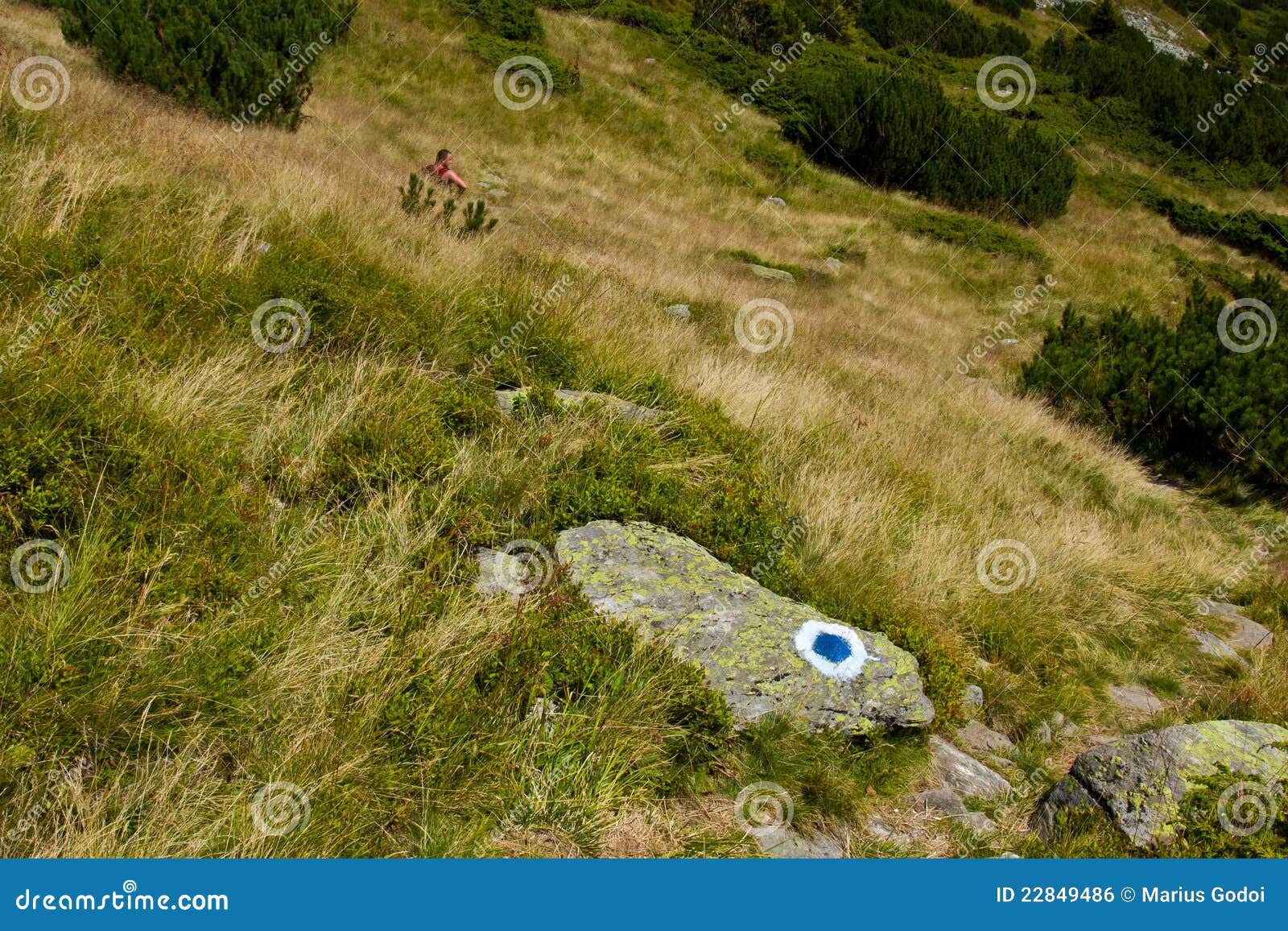 Hiker resting in the grass stock photo. Image of romanian 22849486