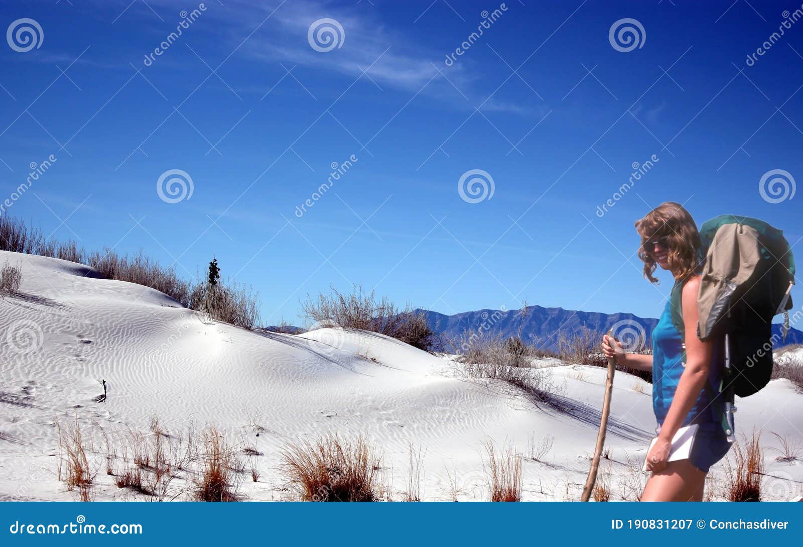 a hiker ventures through white sands national park, usa