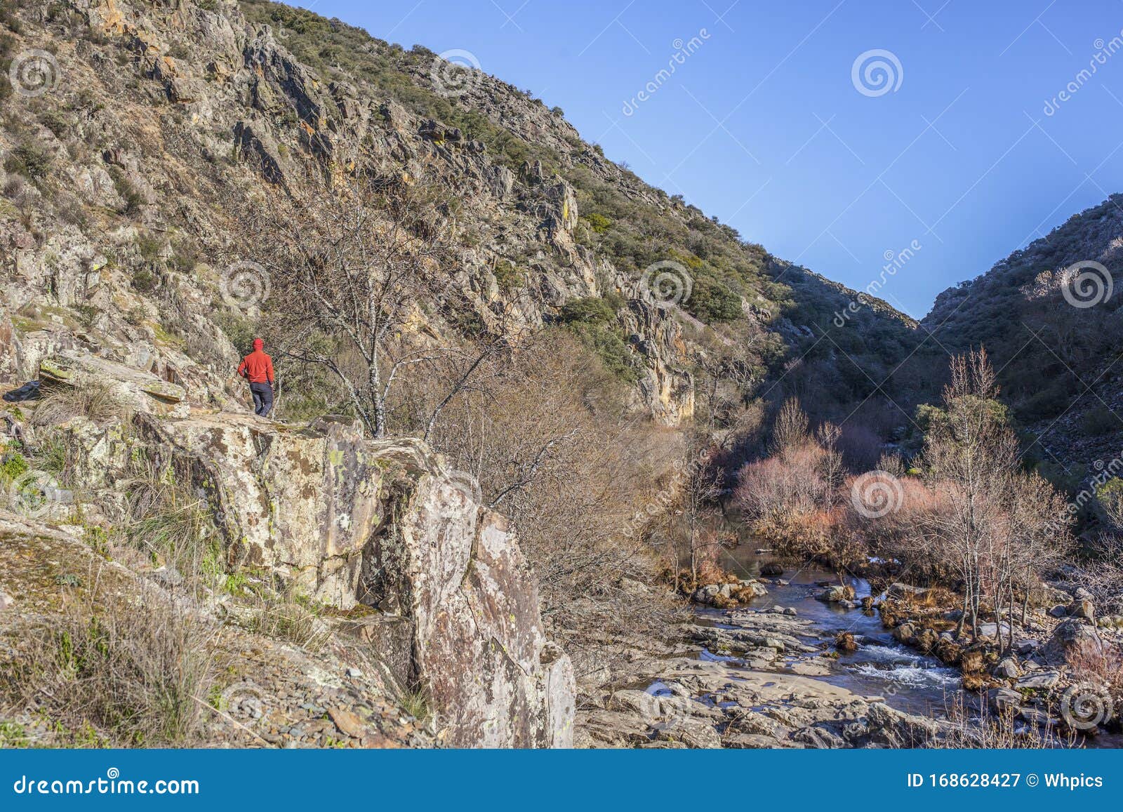 hiker walking by estena riverside, national park of cabaneros