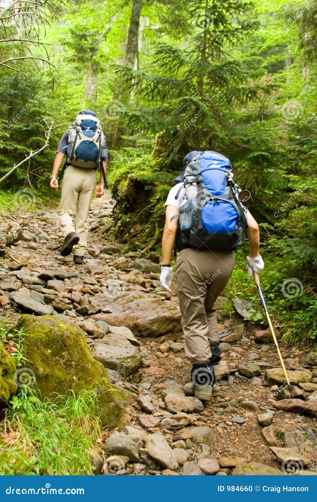 Hikers stock photo Image of fitness mountain forest 984660 Hikers stock photo Image of fitness mountain forest 984660