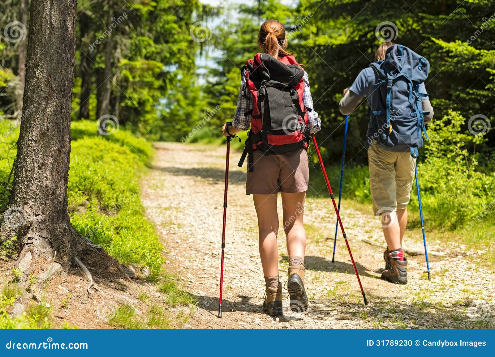 hikers on path with trekking poles