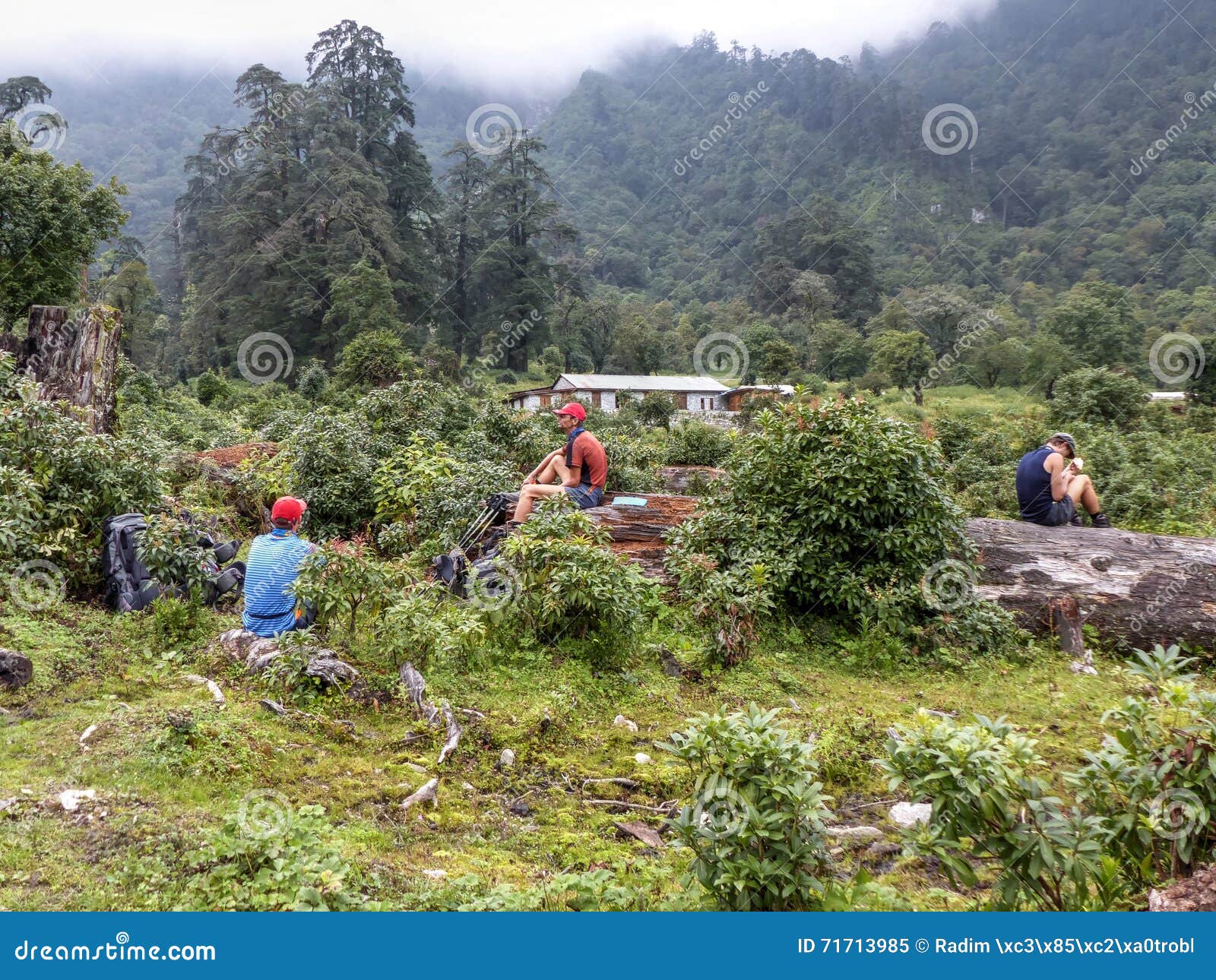 trekkers resting amidst the lush greenery near timang village on the annapurna circuit