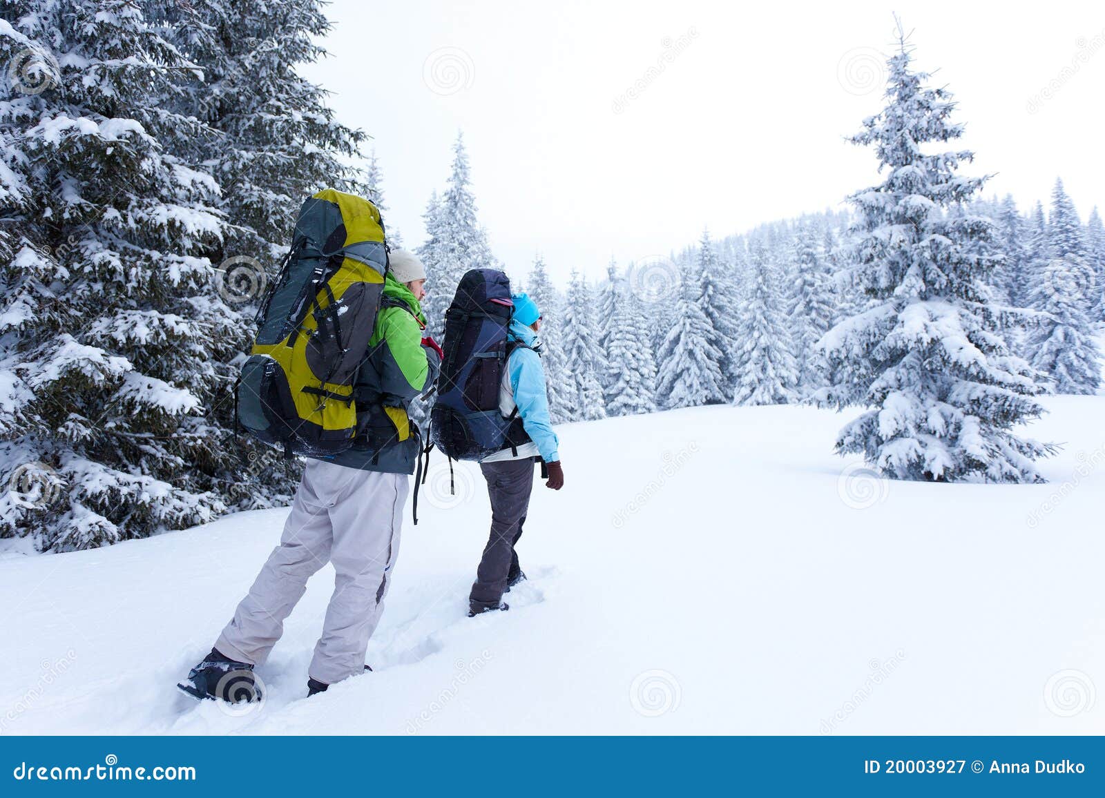 Hiking stock image. Image of light, snowshoes, snow, backpacking 20003927