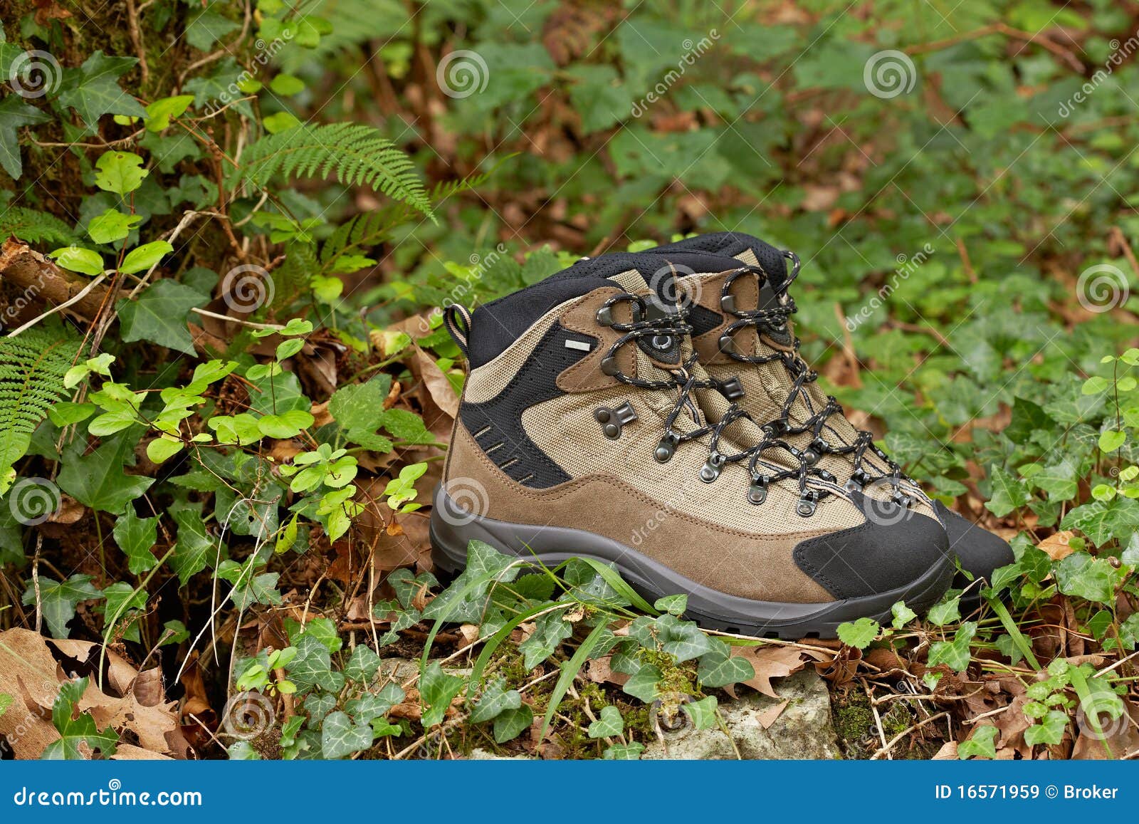 Hiking boots stock image. Image of shoelaces, hiking 16571959