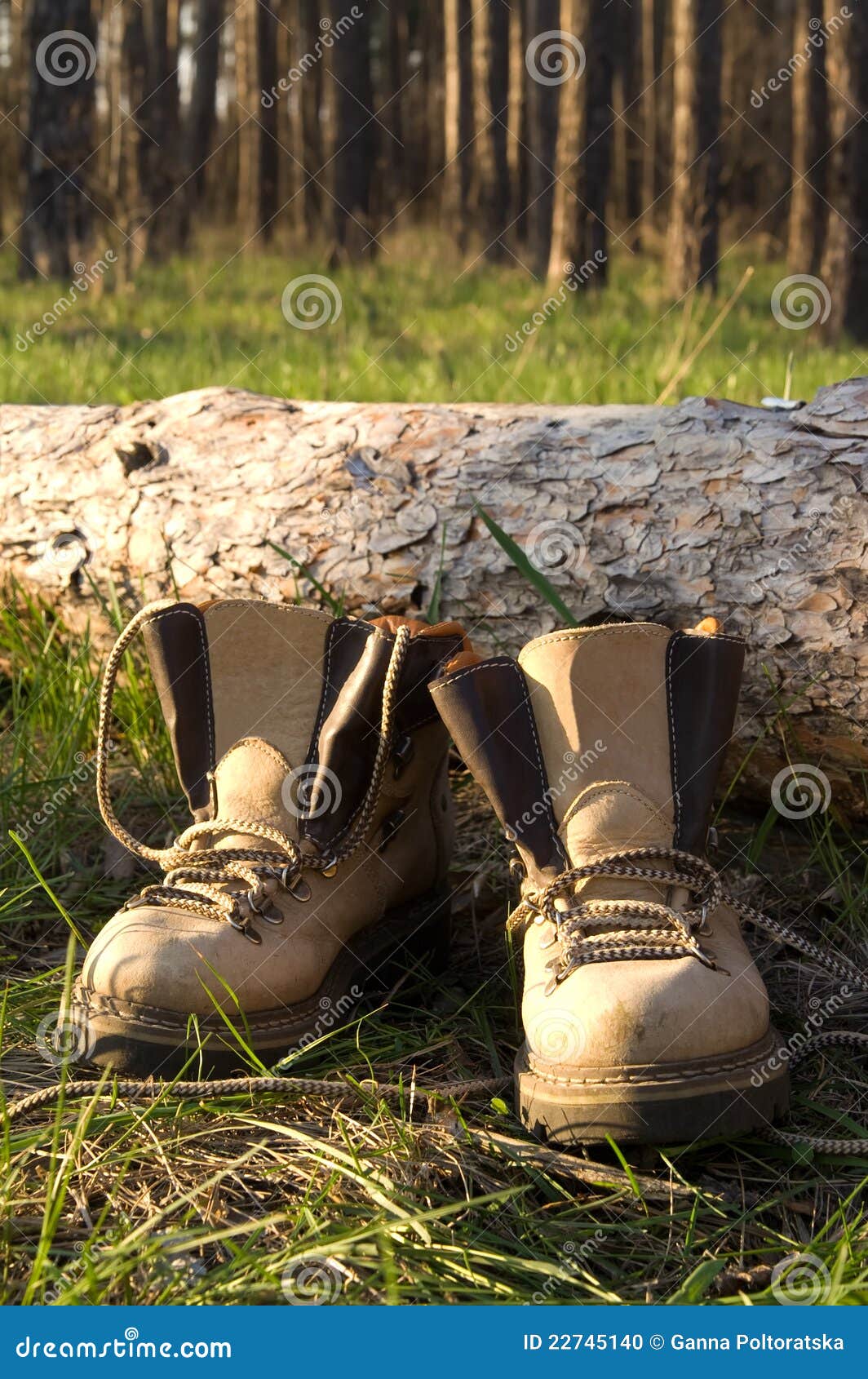 Hiking boots stock photo. Image of clearing, hiking, coniferous 22745140
