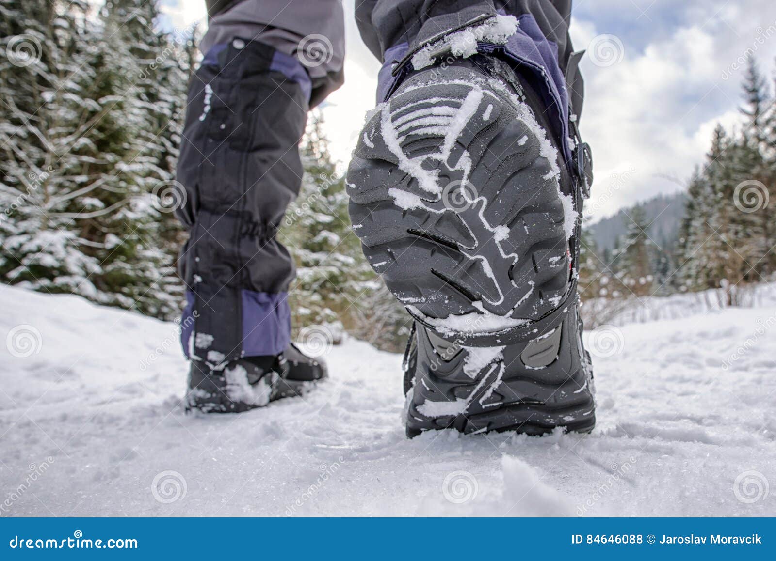 Hiking Boots in Snowy Forest Stock Photo Image of blue, boots 84646088