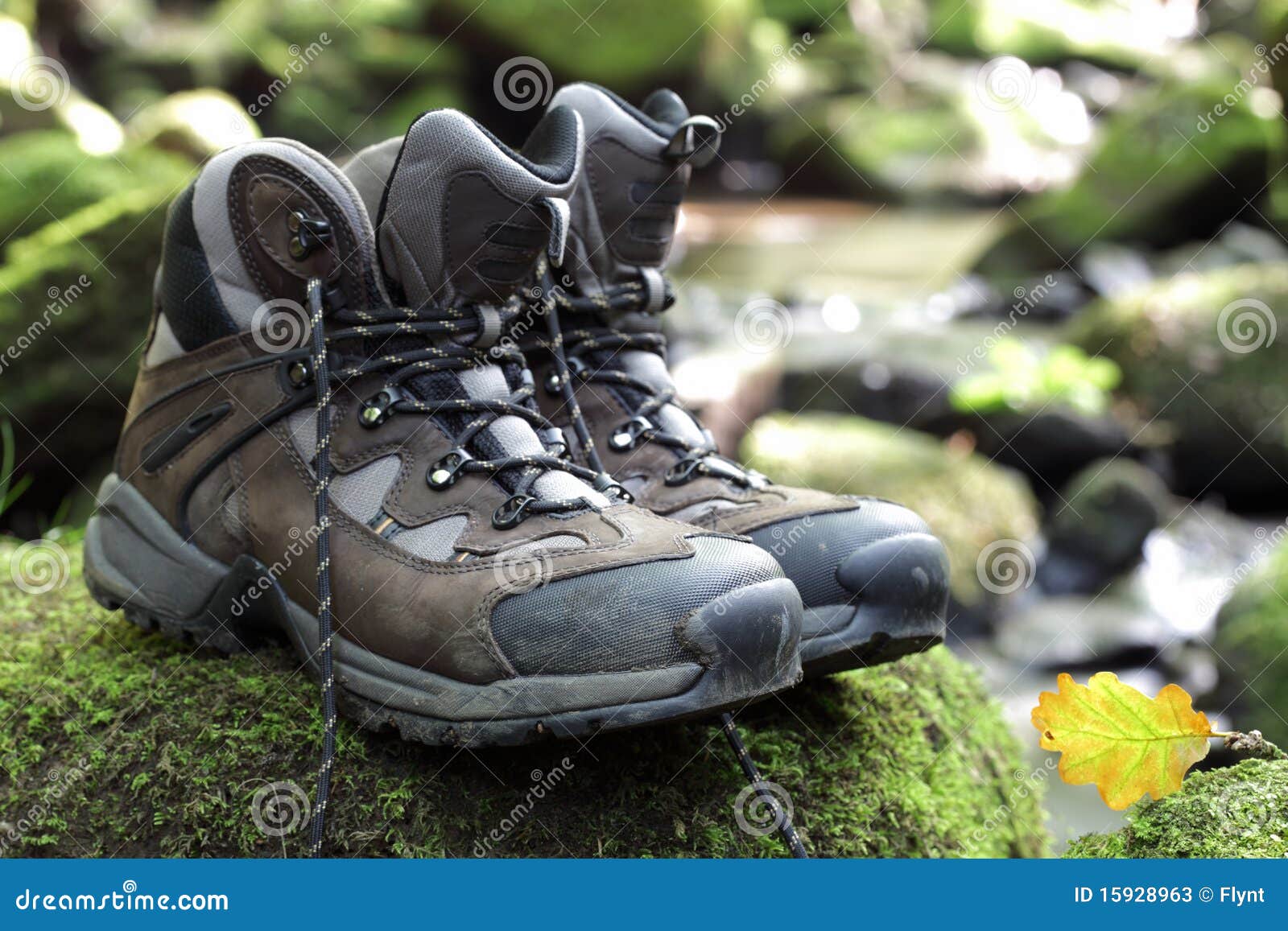 Hiking Boots by Stream in a Forest Stock Image Image of footpath