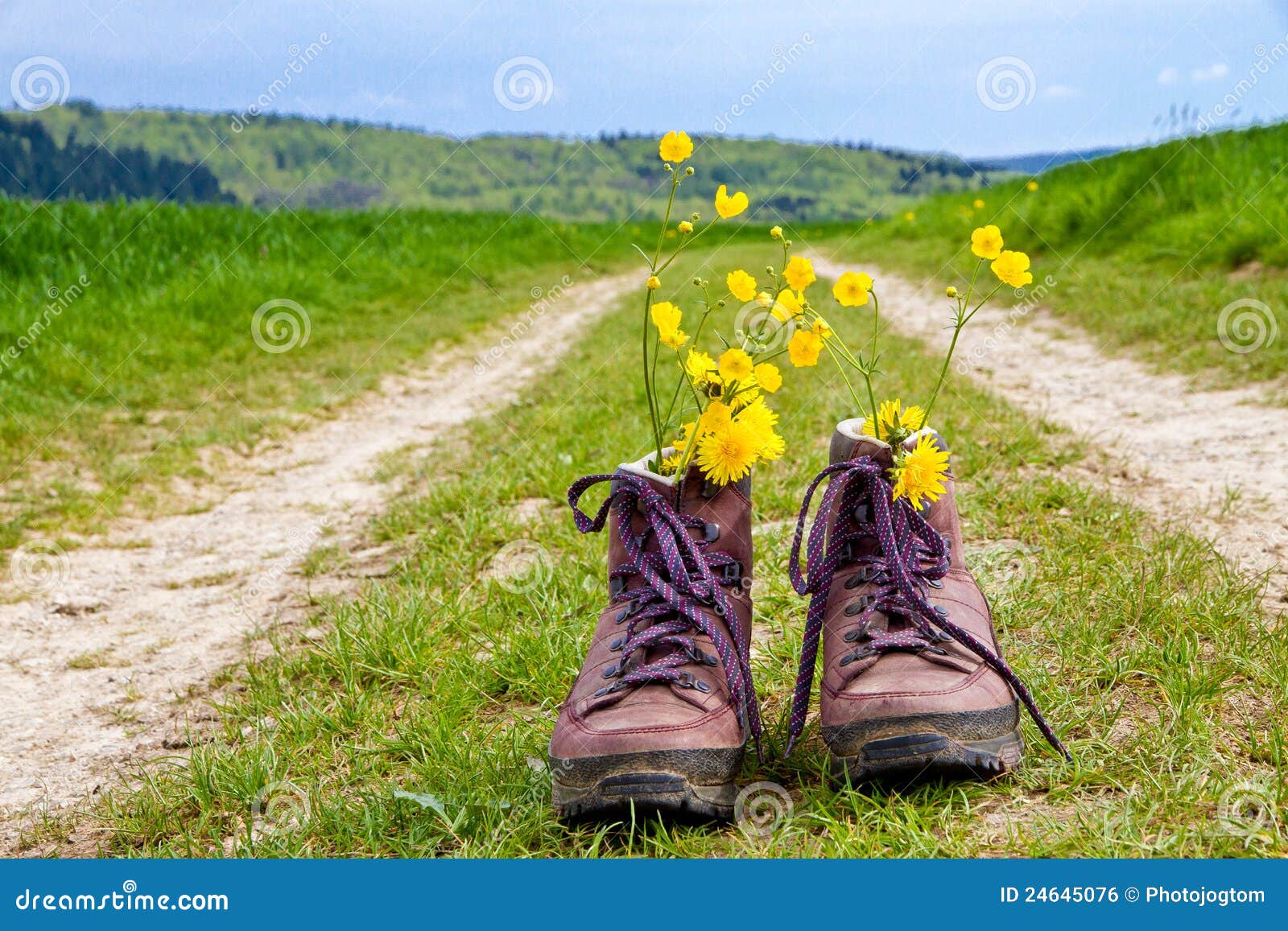 Hiking boots on a way stock photo. Image of footwear 24645076