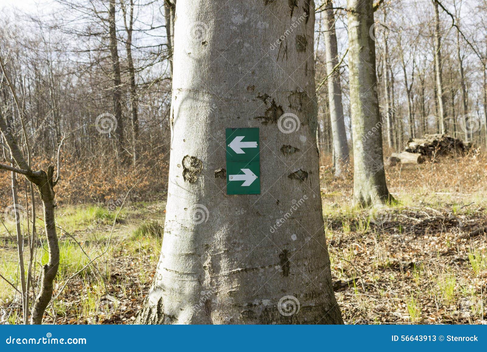 Hiking directions stock image. Image of forest, planning 56643913