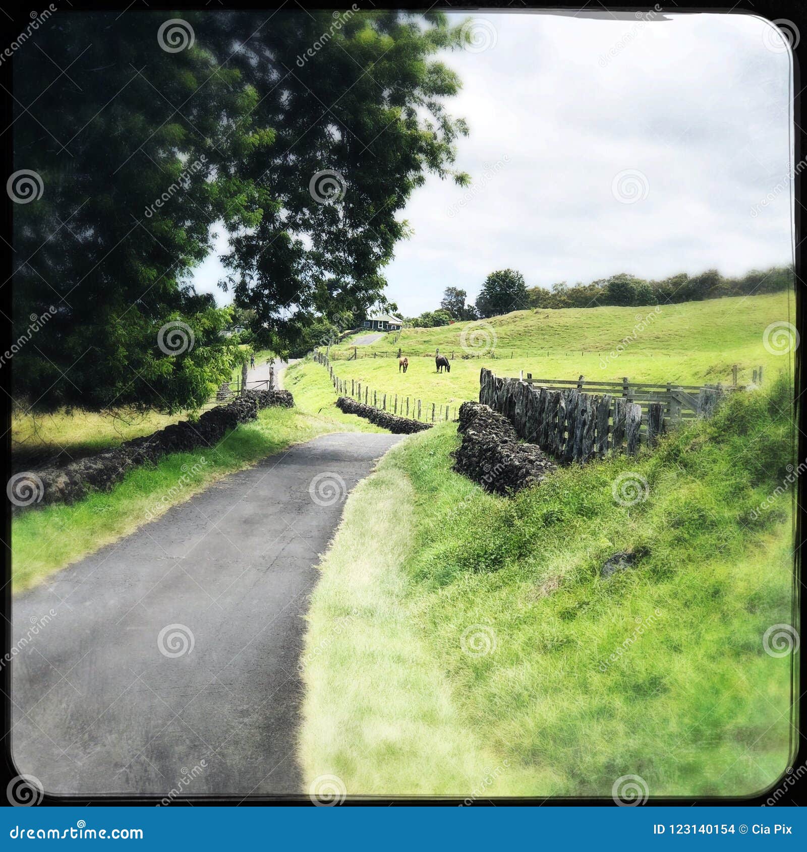 Hiking in Kula stock photo. Image of outdoors, greenery 123140154