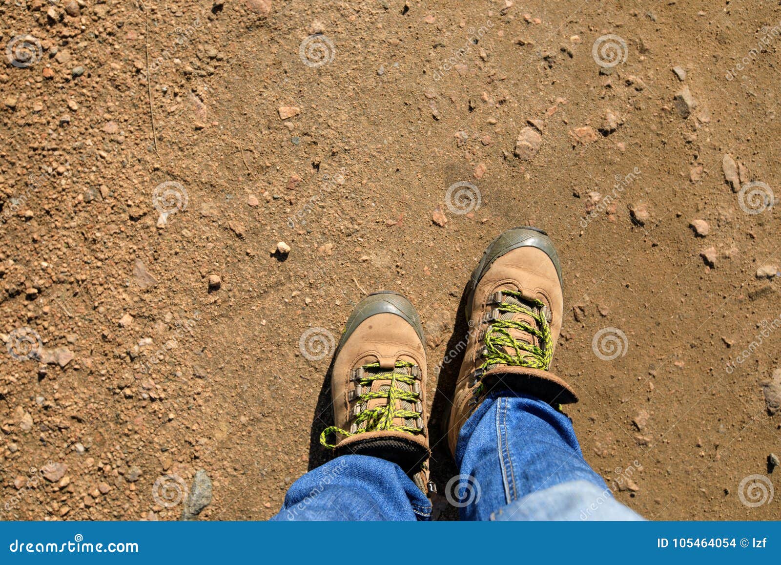 Hiking legs on the trail stock photo. Image of female - 105464054