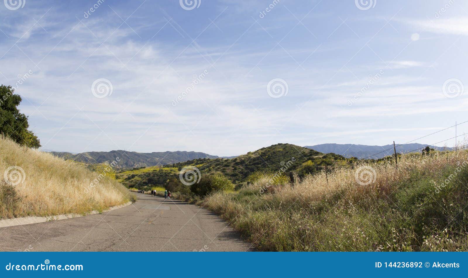 Hicks Haul Road Stock Photos Free & RoyaltyFree Stock Photos from