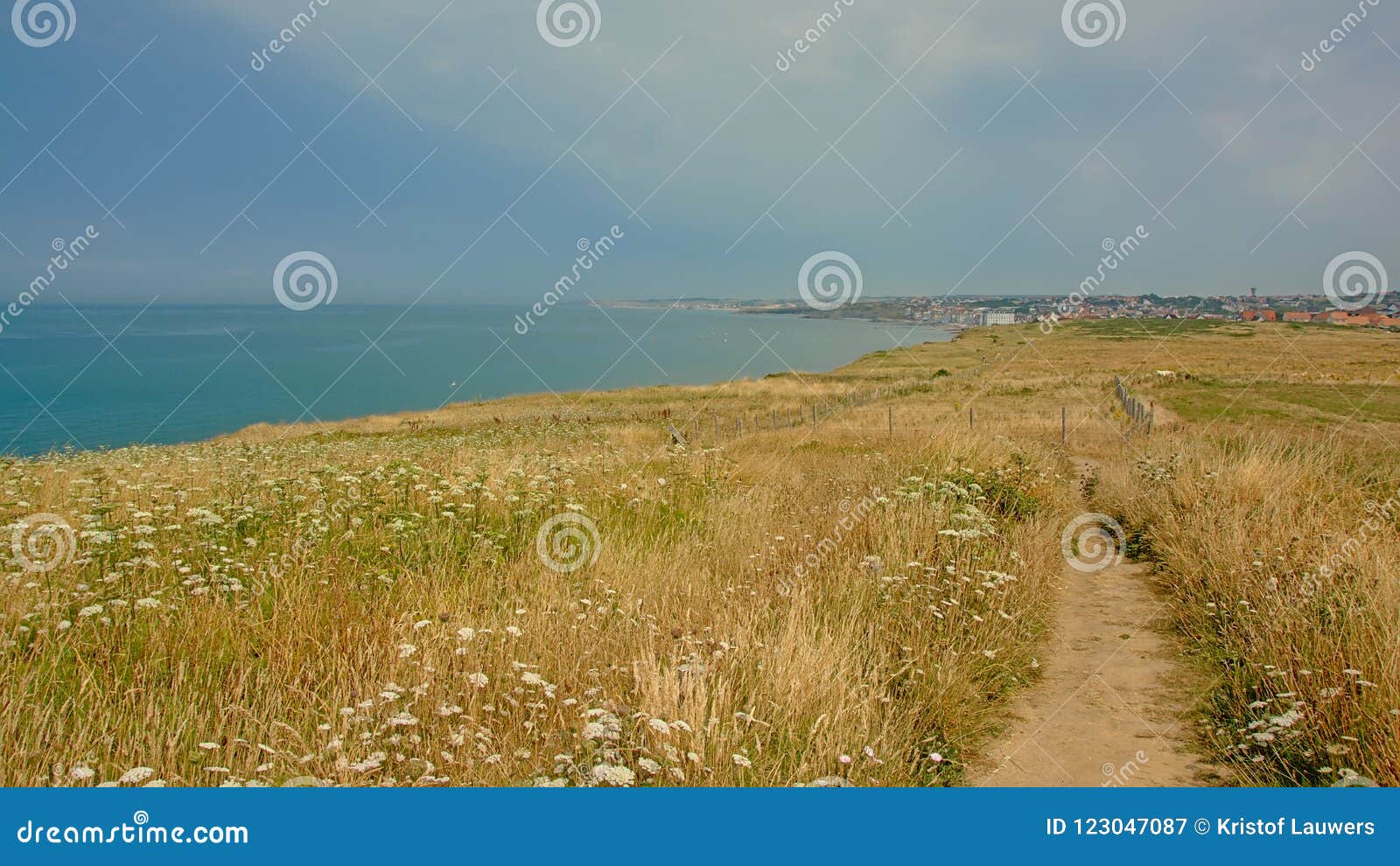 hiking path in a filed on the ciffs on the french northe sea coast