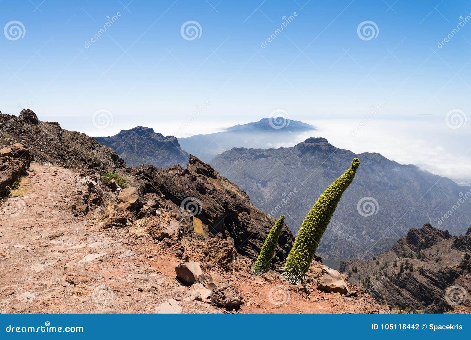 hiking path on the roque de los muchachos at the island of la palma