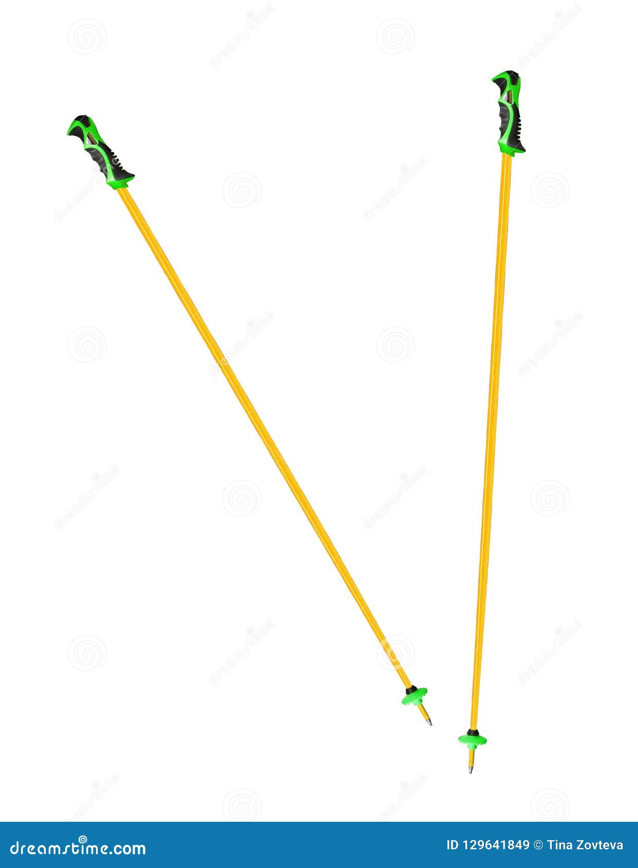 Hiking Poles with Large Snow Cups Stock Image Image of winter, stick