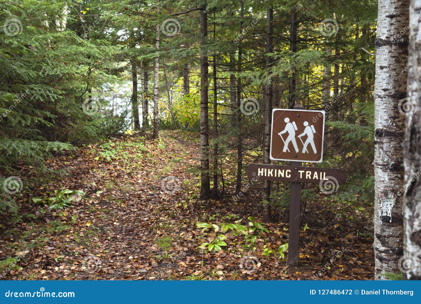 hiking trail around divide lake in the superior national forest
