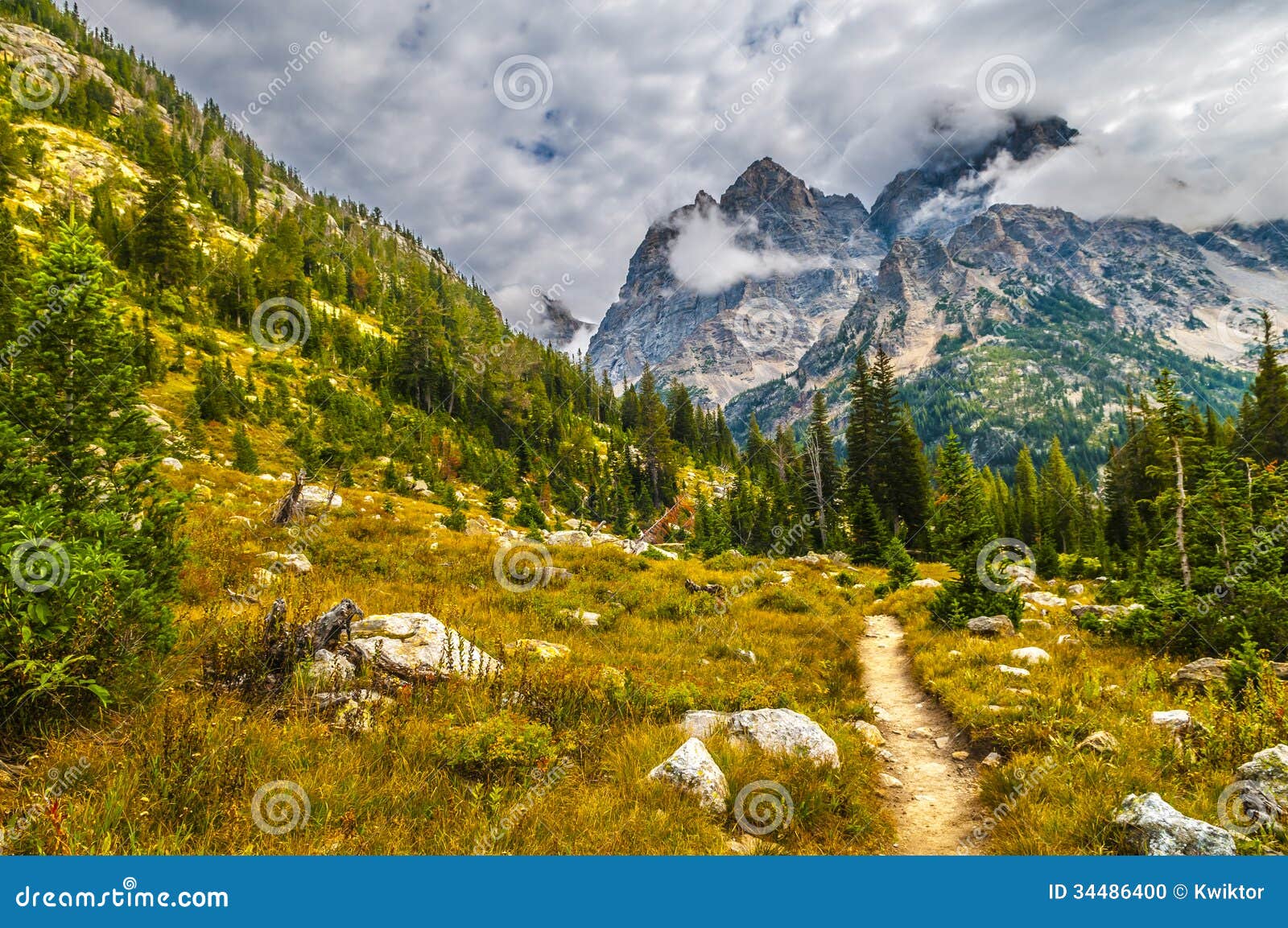 hiking trail in the cascade canyon - grand teton national park