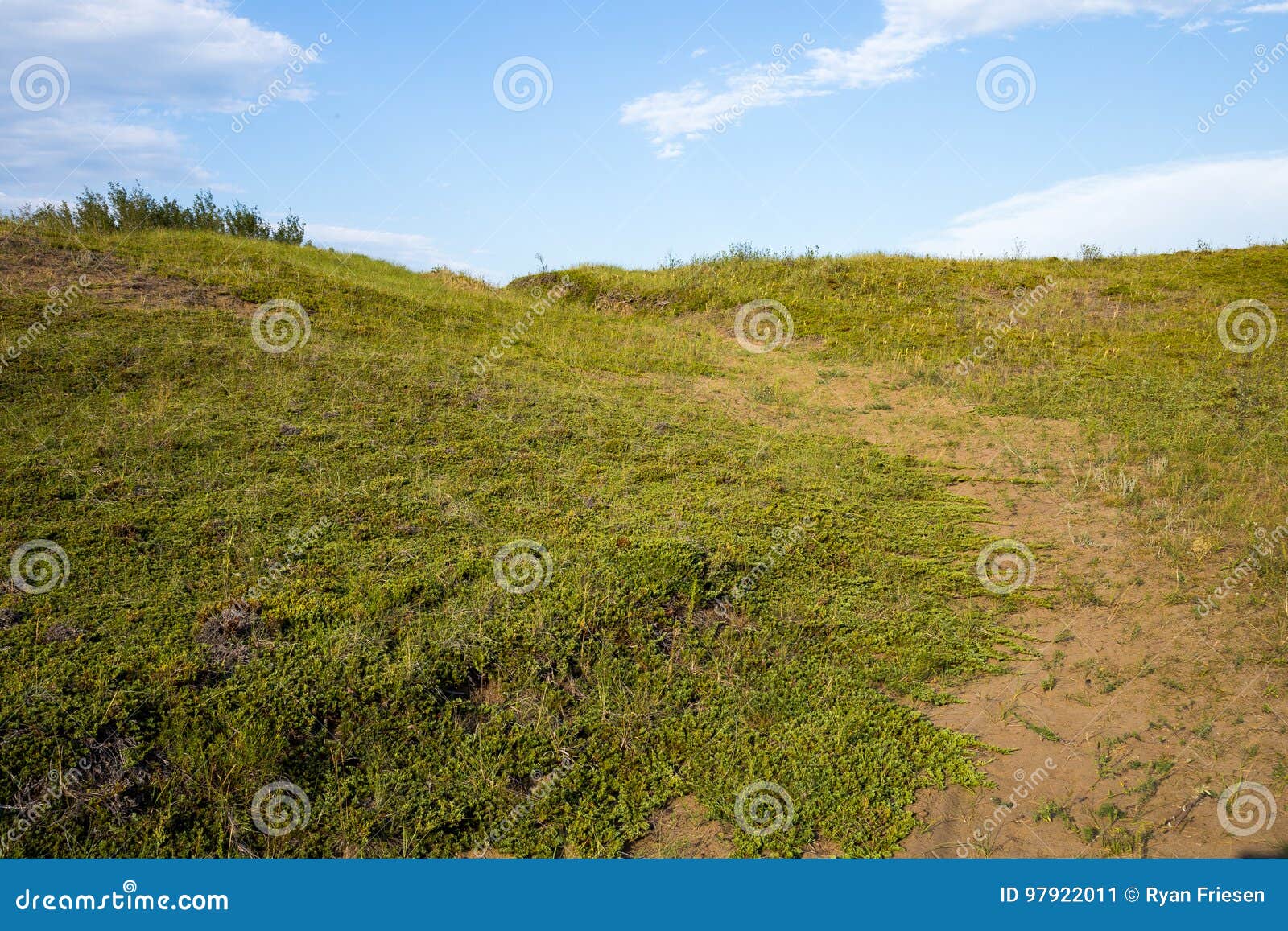 Hiking Trail at Cranberry Flats Conservation Area Saskatoon Stock Image