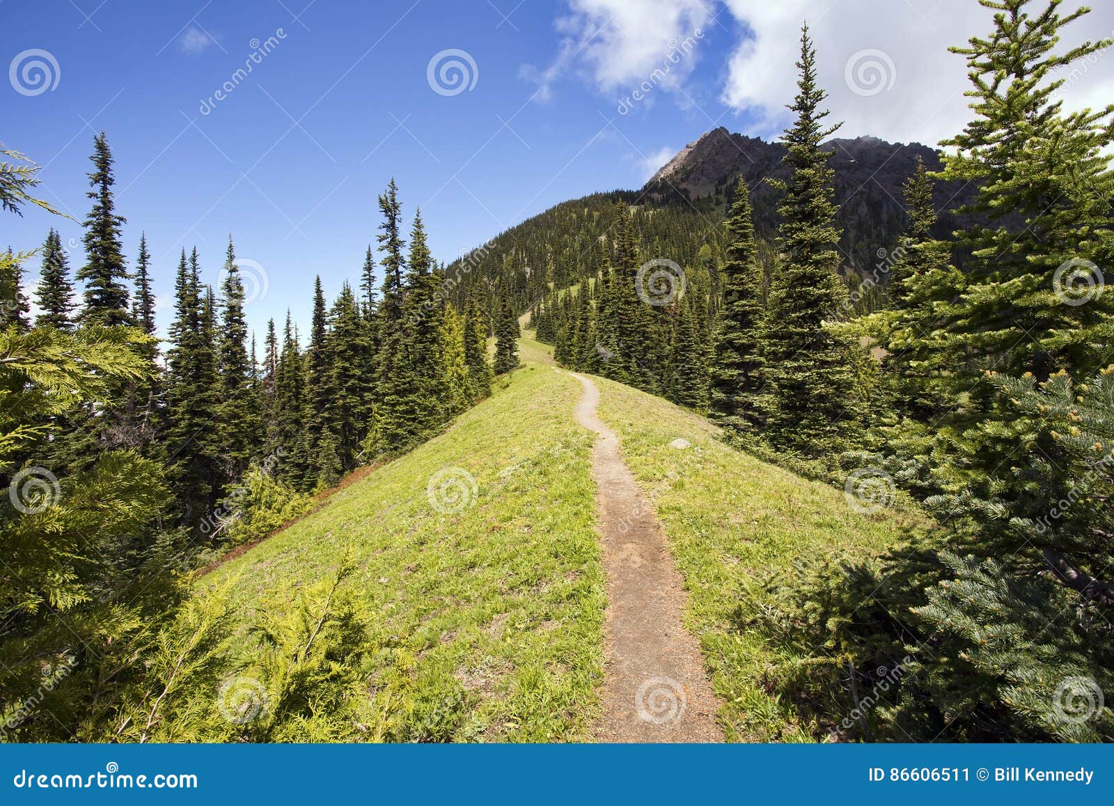 Steep steps on mountain path to the green alpine valley