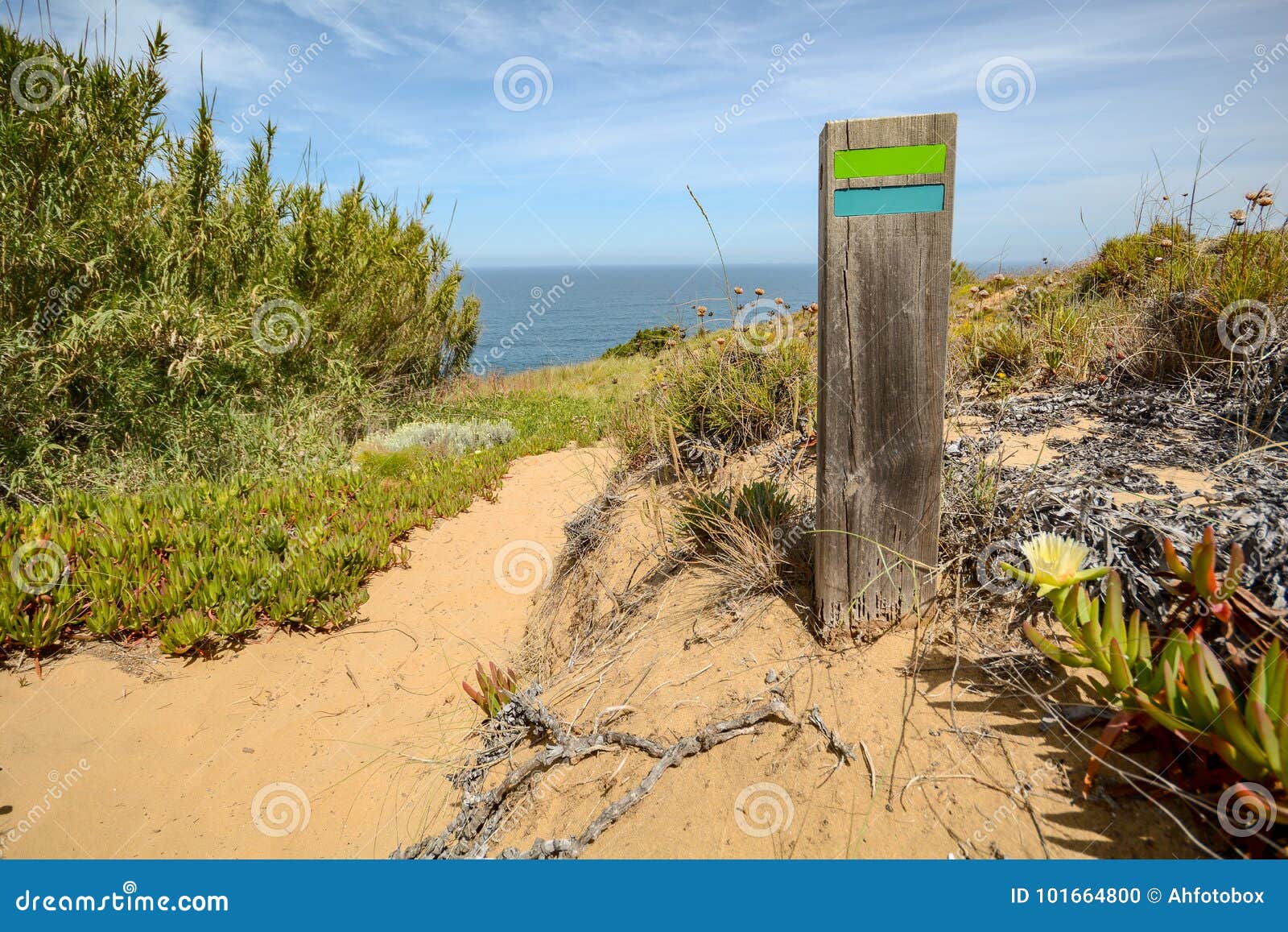 hiking trail rota vicentina from odeceixe to zambujeira do mar through alentejo landscape, portugal