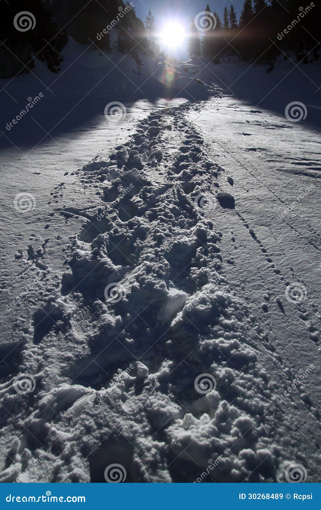 hiking-trail-snow-30268489.jpg