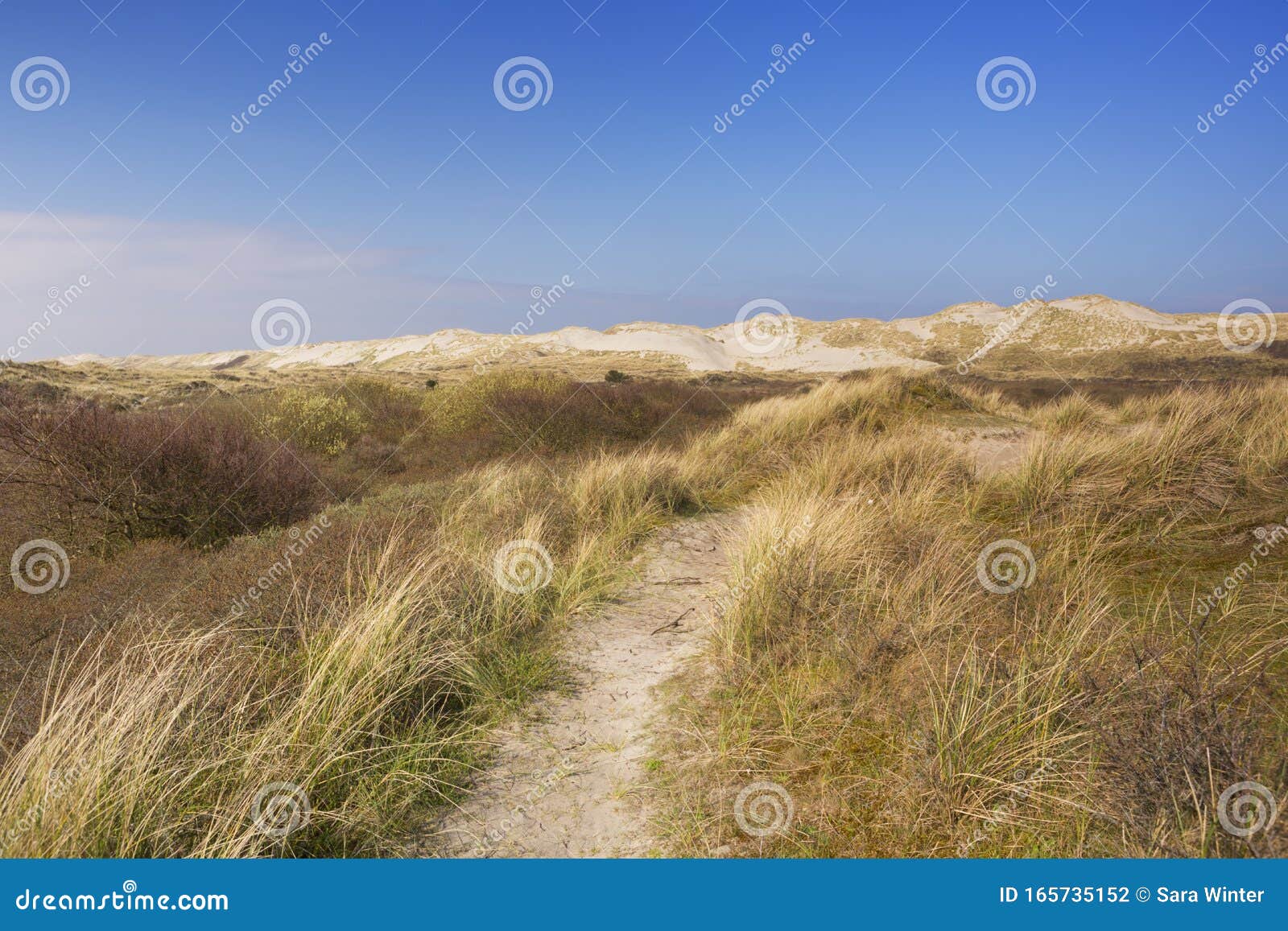 hiking trail on terschelling island in the netherlands