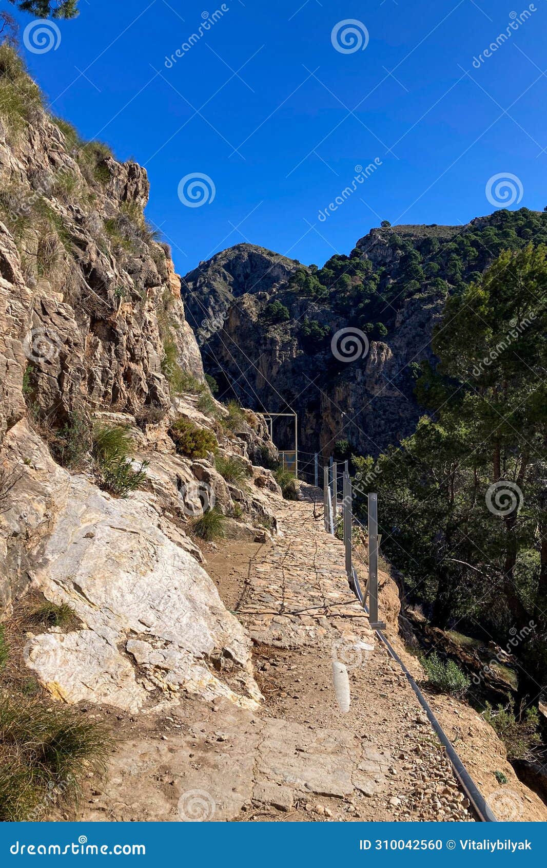 hiking trail to colgante bridge (puente colgante el saltillo)