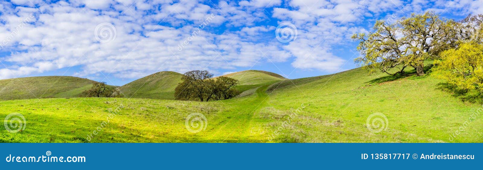 hiking trail through the verdant hills of south san francisco bay area, san jose, california