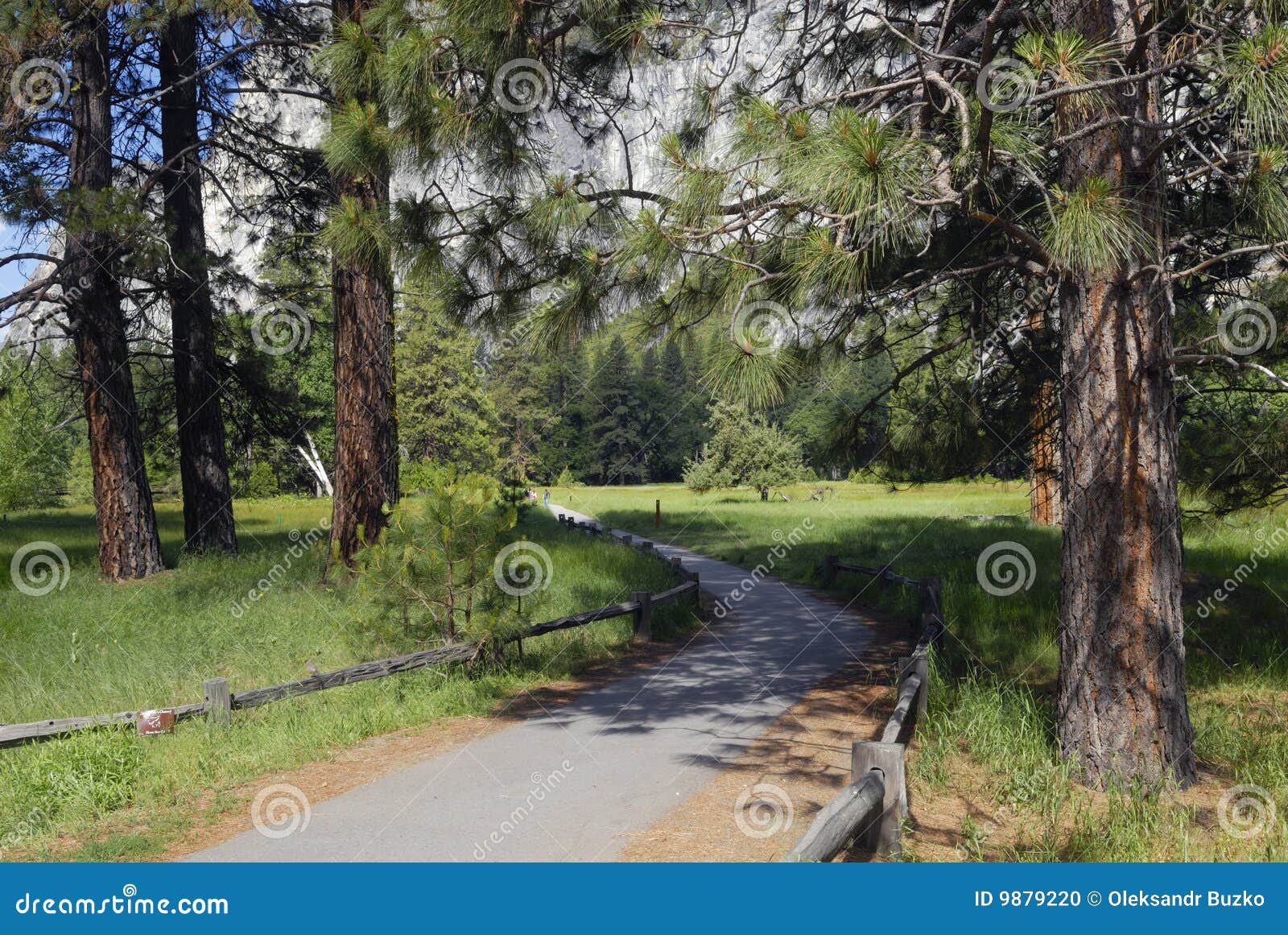 Hiking trail in Yosemite Valley near Merced River