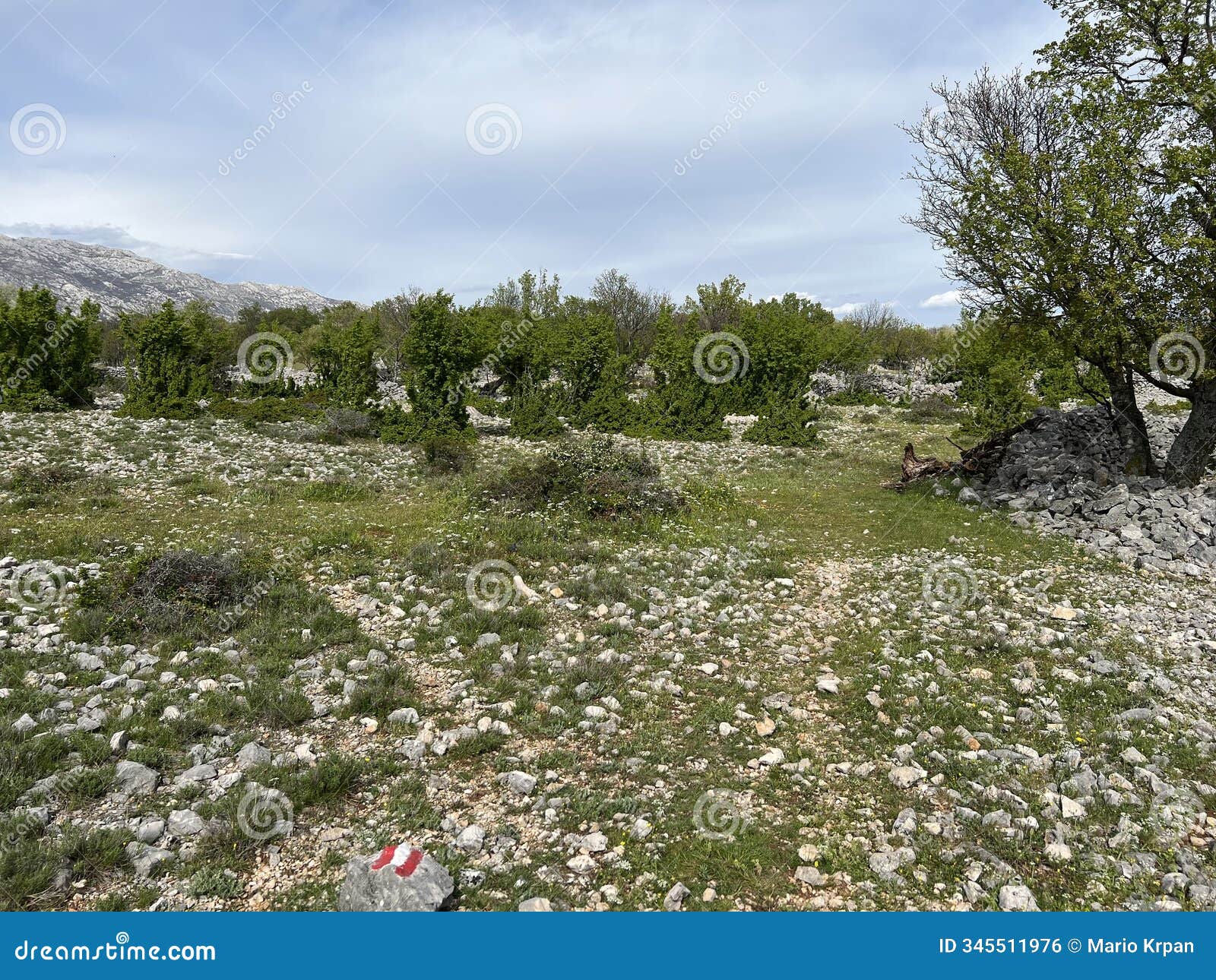 hiking trails along the river and markings along the krupa river canyon (velebit nature park, croatia)