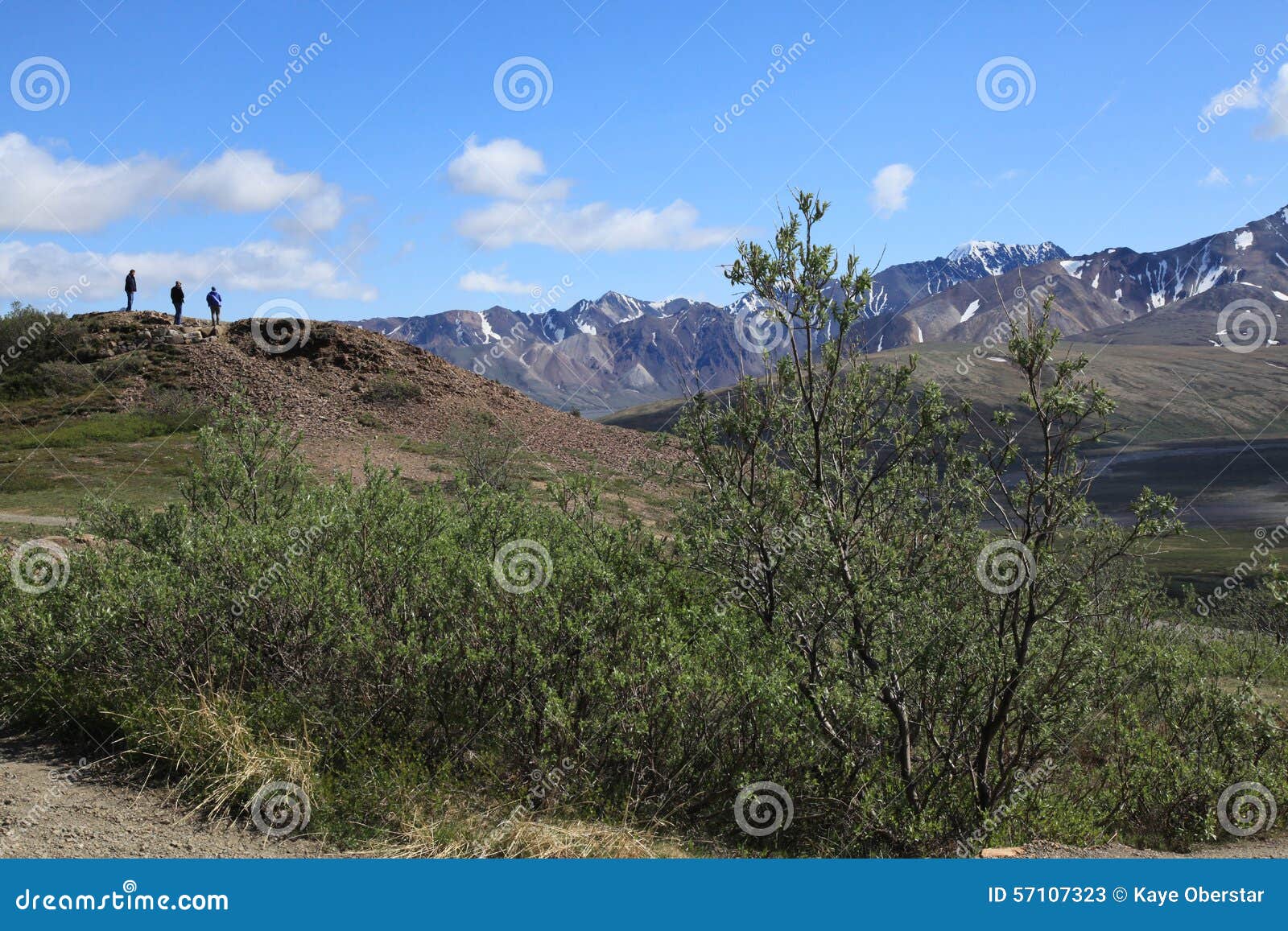 Hiking Trails in Denali National Park Stock Image Image of skies, clear 57107323