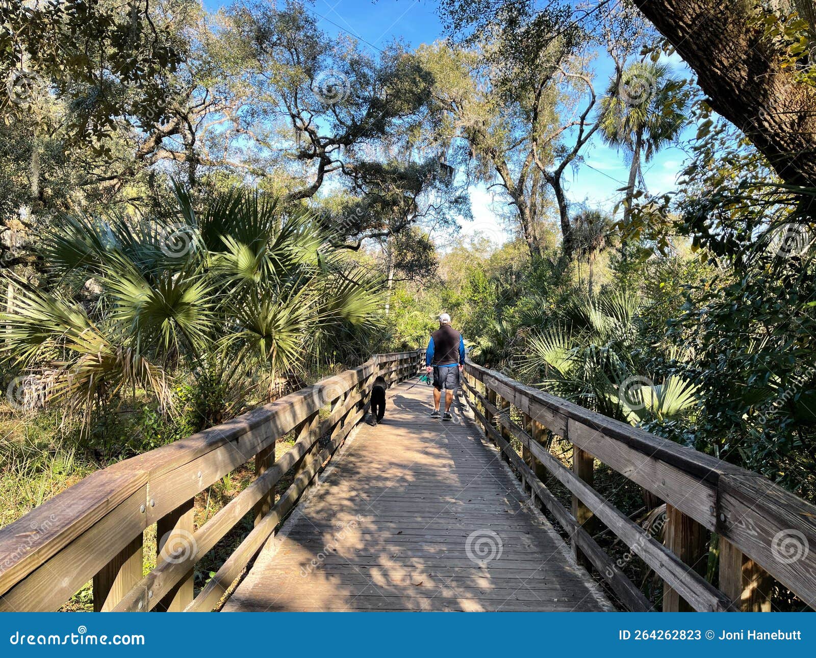 The Hiking Trails at a State Park in Orlando, Florida Stock Image Image of america, state