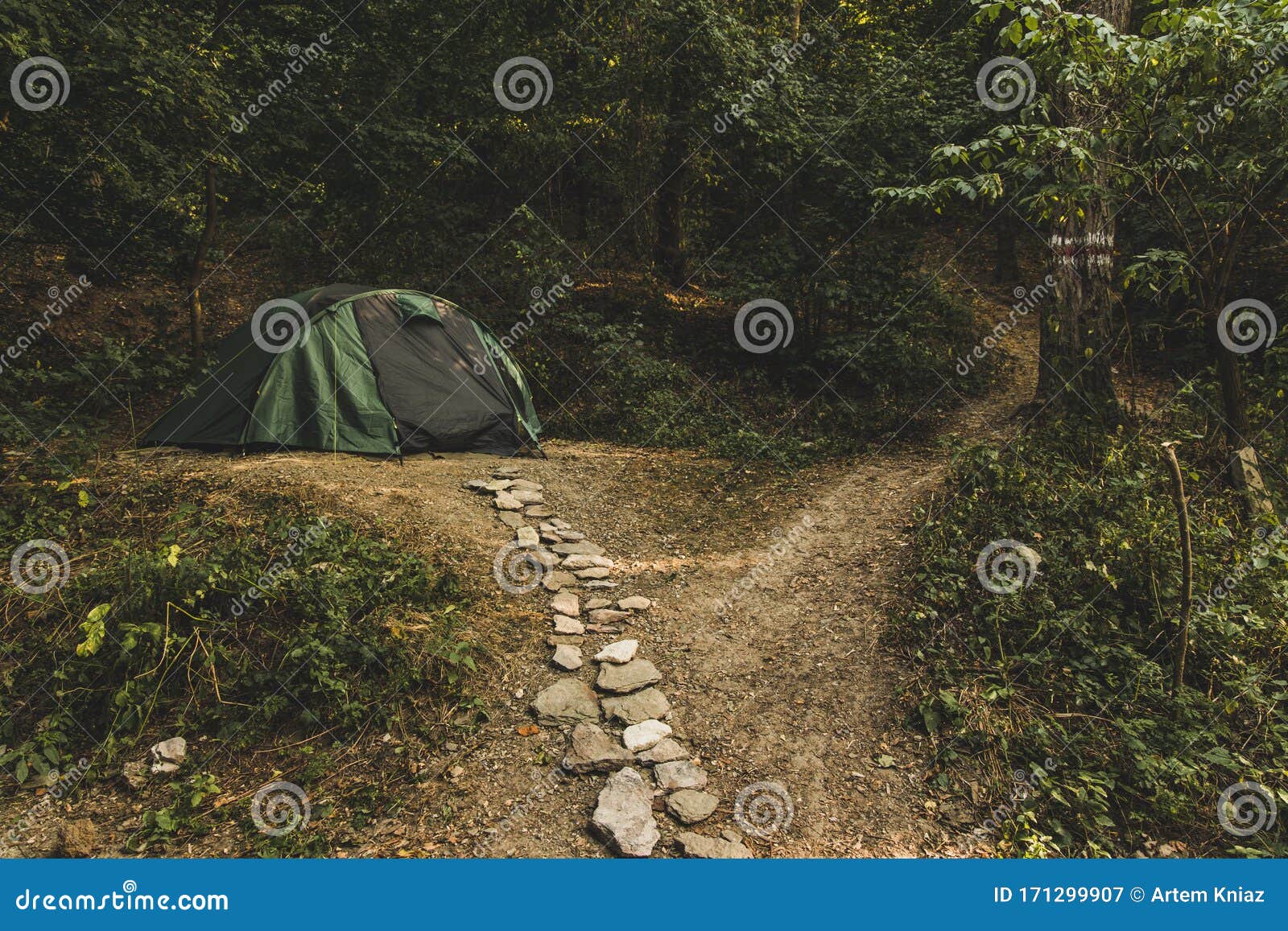 Door Pennenvriend baai Hiking Travel Life Style Passion Concept Picture of Tent Camp Side Place in  Forest Moody Nature Environment Green Foliage and Stock Image - Image of  adventure, pleasure: 171299907