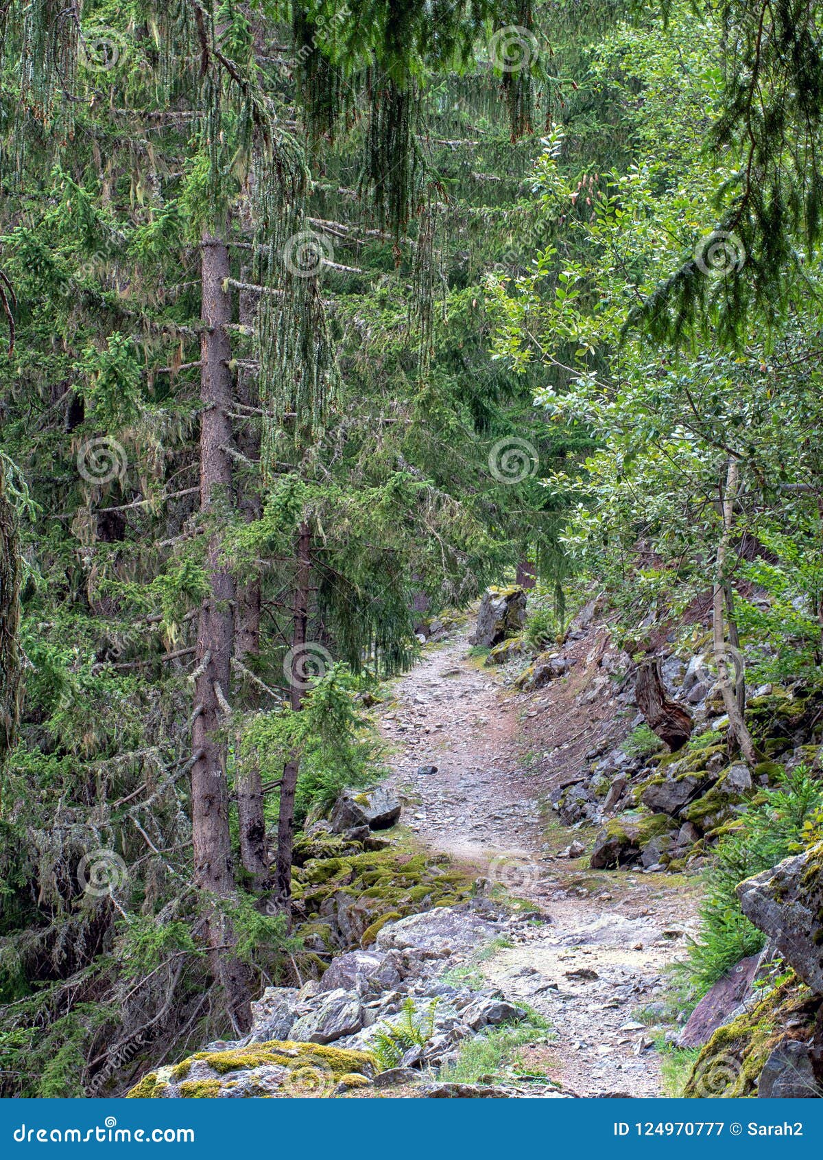 hiking, trekking train path near chamonix mont blanc, haute savoie, france in summer. view along the the petit balcon