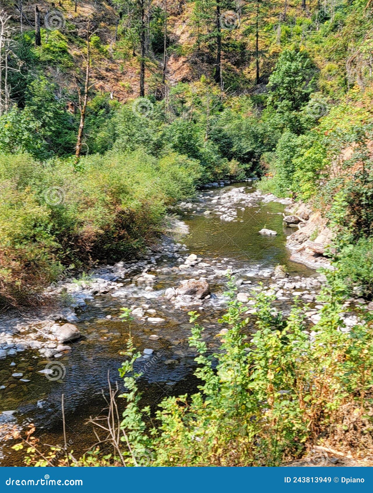 Hiking Views Around Cascade Locks Oregon Stock Image Image of views