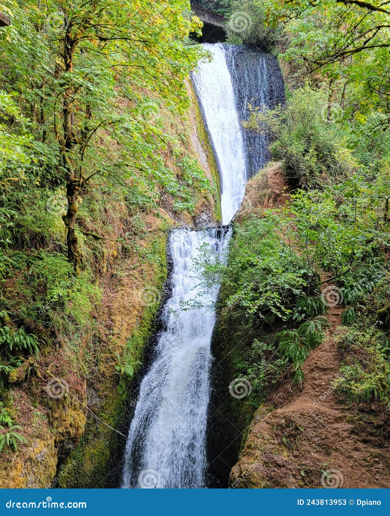 Hiking Views Around Cascade Locks Oregon Stock Image Image of tree