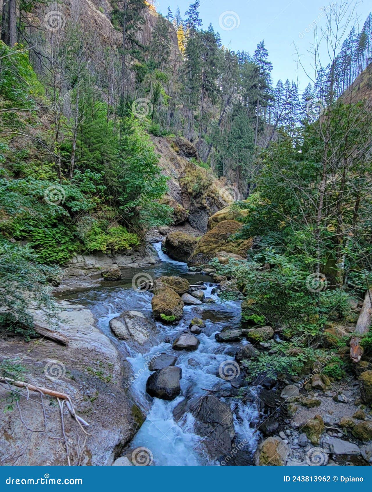 Hiking Views Around Cascade Locks Oregon Stock Photo Image of