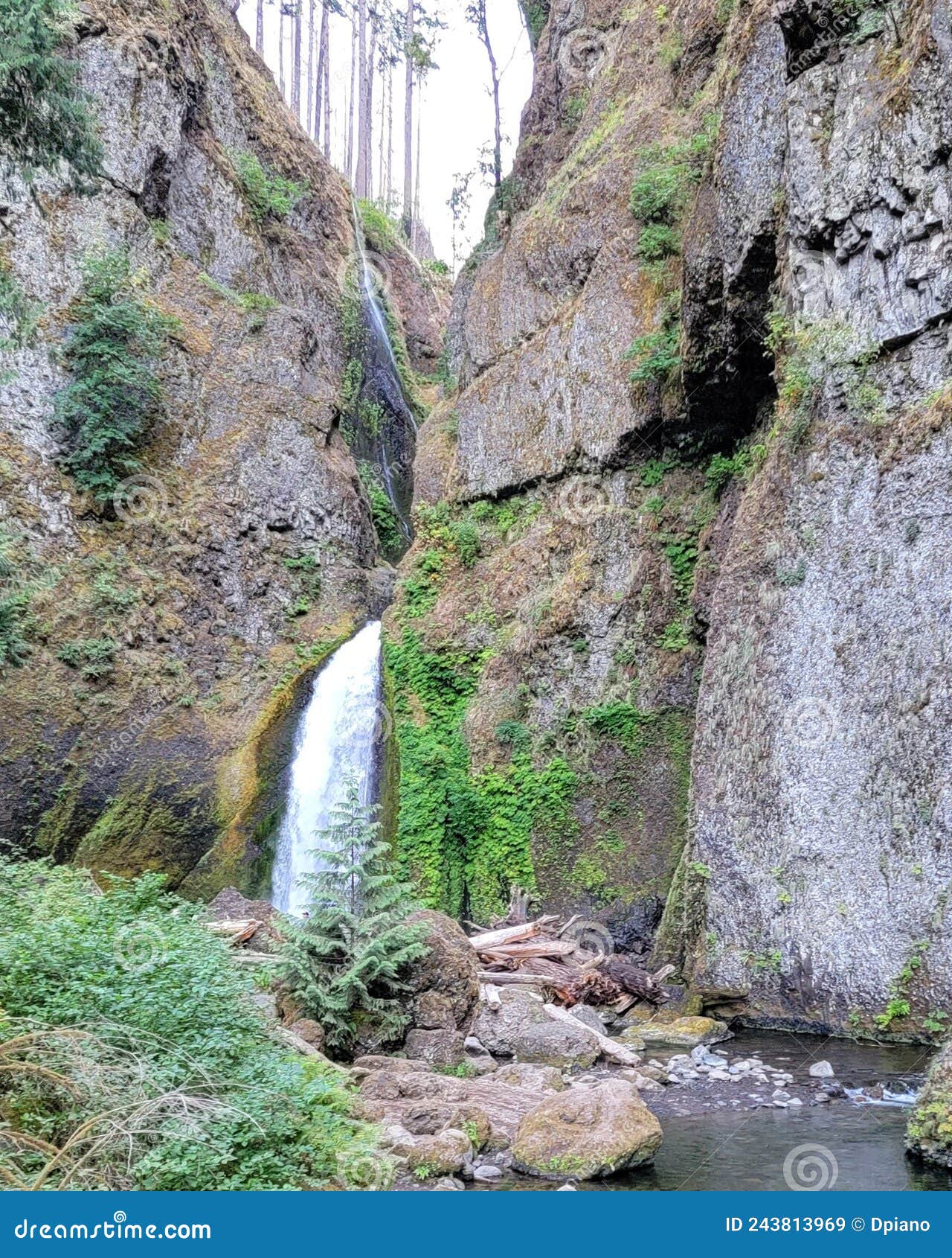 Hiking Views Around Cascade Locks Oregon Stock Image Image of stream